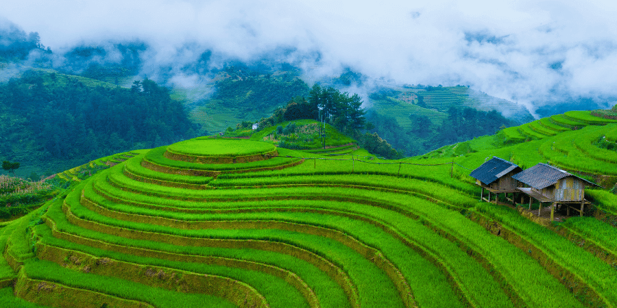 Mu Cang Chai Vietnam 1